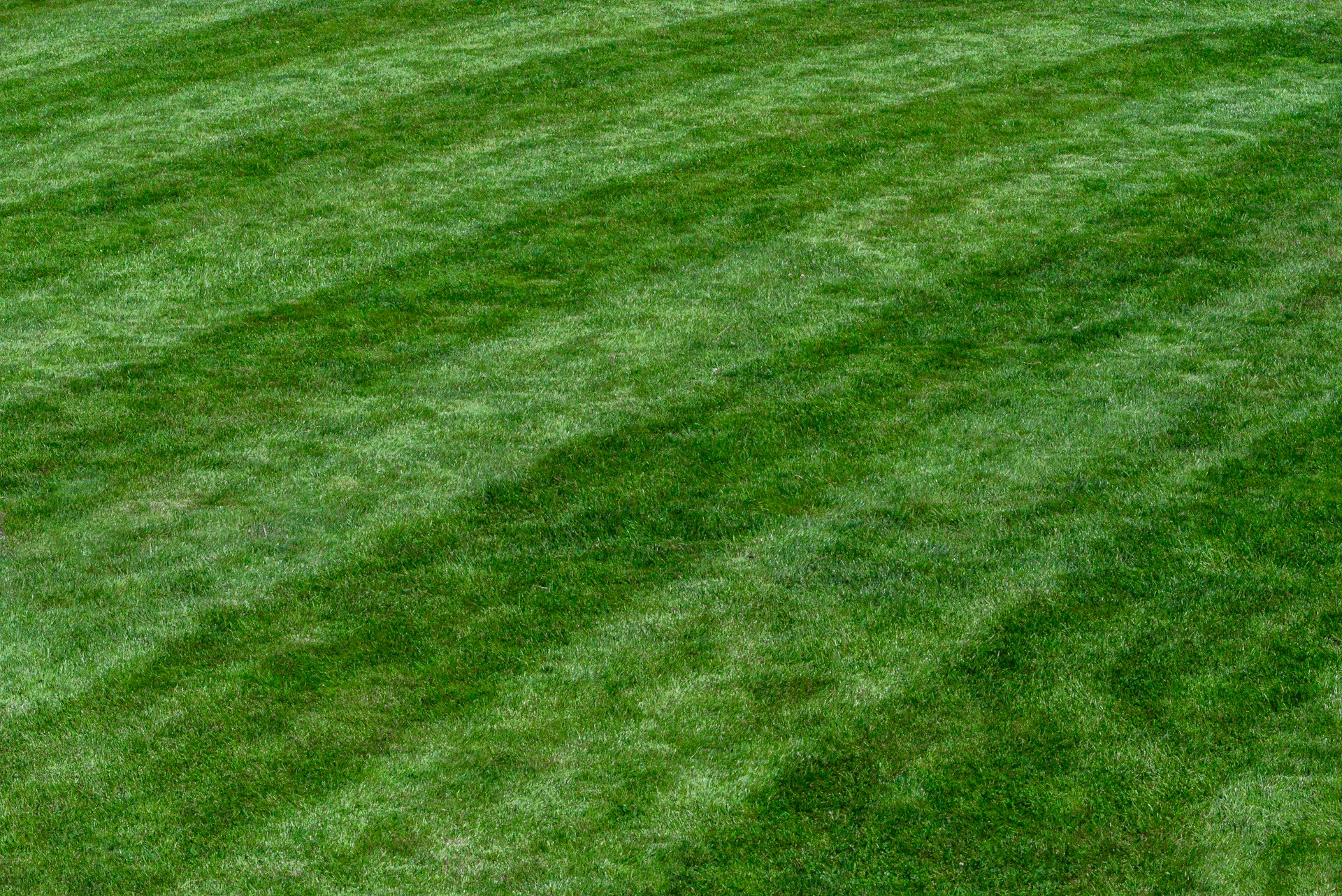 How to Get Stripes in Your Lawn